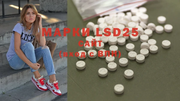 ECSTASY Белокуриха
