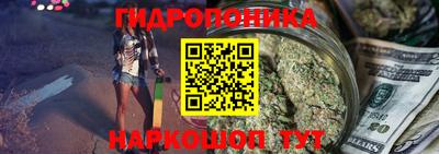 круглые Лесосибирск