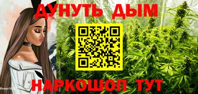 круглые Лесосибирск