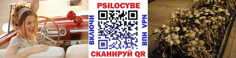 Галлюциногенные грибы Magic Shrooms OMG ССЫЛКА Буйнакск