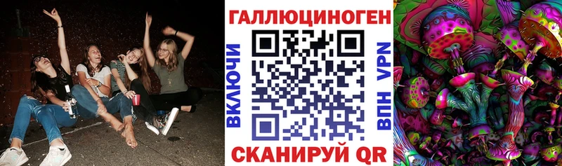 Псилоцибиновые грибы Psilocybine cubensis Буйнакск